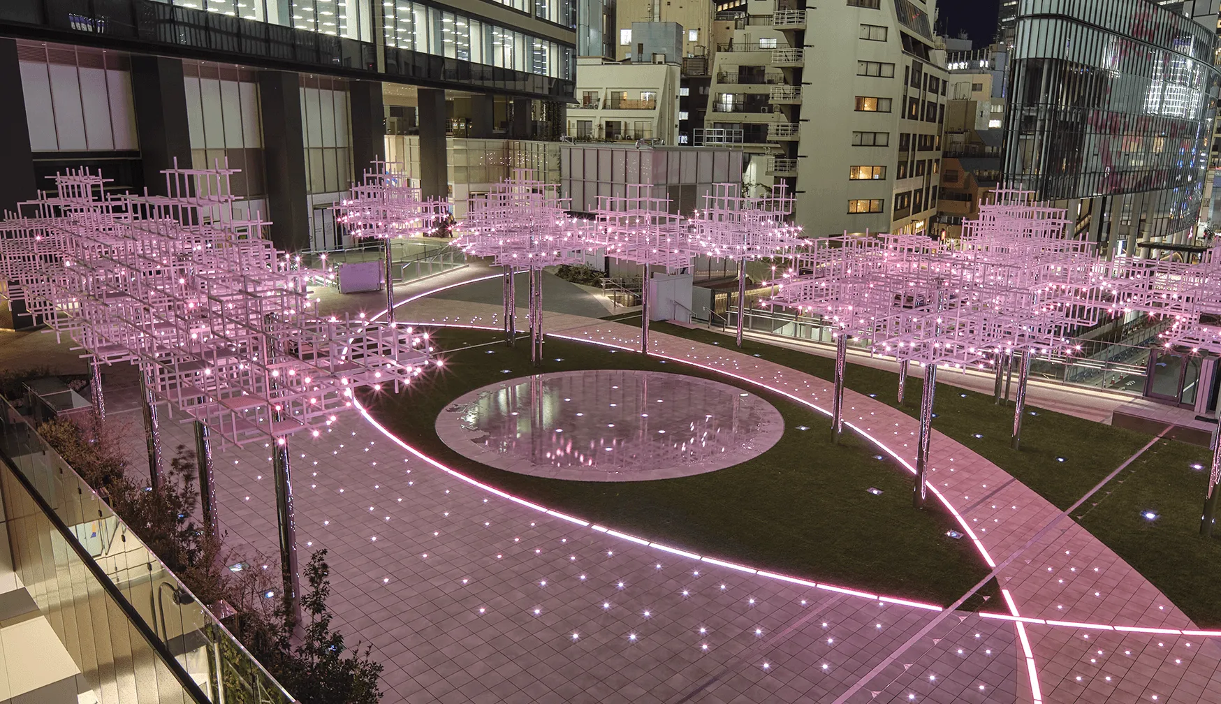 Rows of cherry blossom trees in full bloom that bloom every 365 days